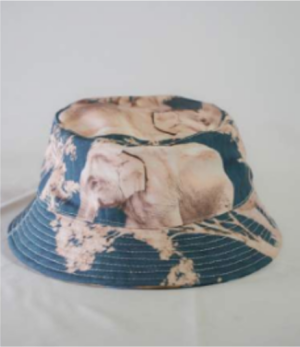 Pygmy Elephant Bucket Hat