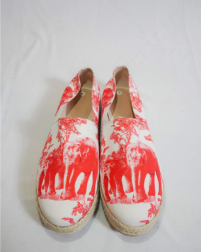 pygmy shoespng